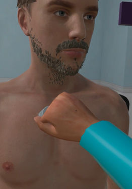 Auscultation simulator