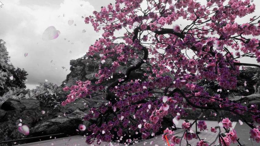 Epic Zen Garden