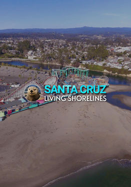 Santa Cruz - Living Shorelines