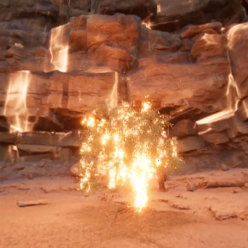 The Burning Bush