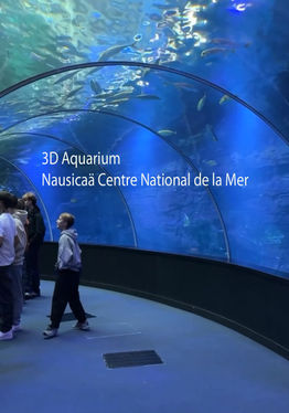 3D Aquarium Nausicaä Centre National..