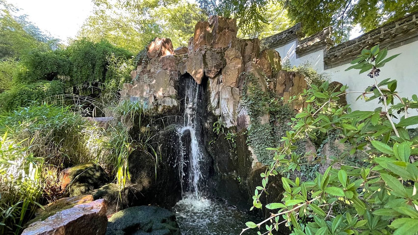 Calm VR: Japanese Garden Wellness Escape