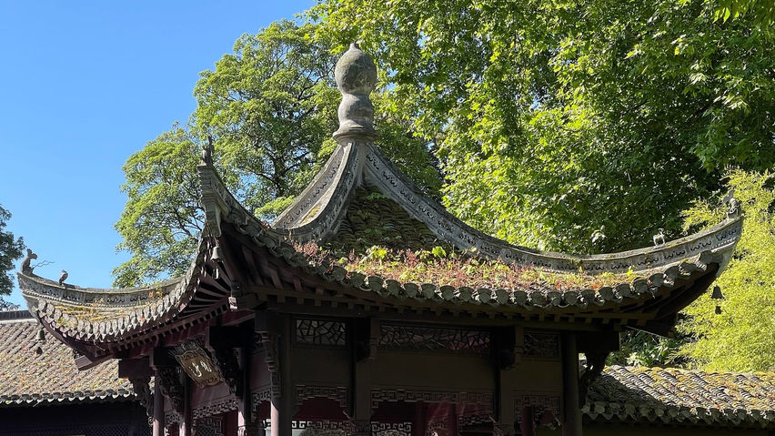 Calm VR: Japanese Garden Wellness Escape