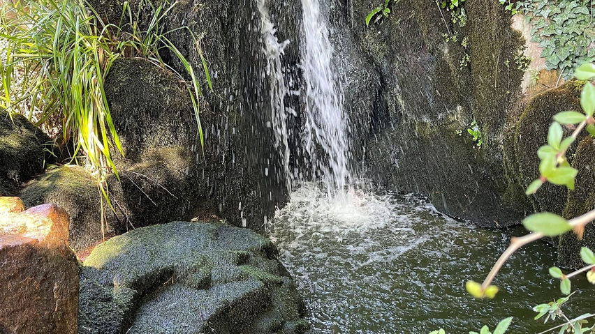 Calm VR: Japanese Garden Wellness Escape