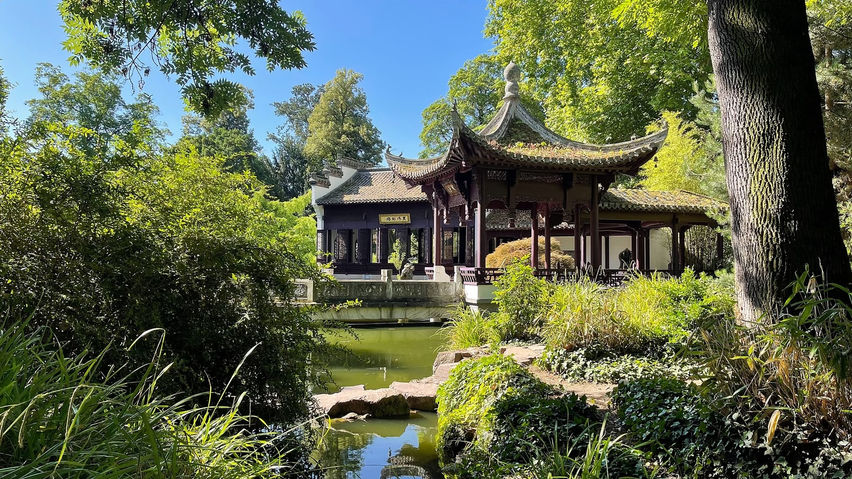 Calm VR: Japanese Garden Wellness Escape