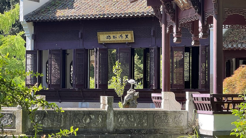 Calm VR: Japanese Garden Wellness Escape
