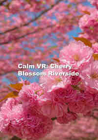Calm VR: Cherry Blossom Riverside