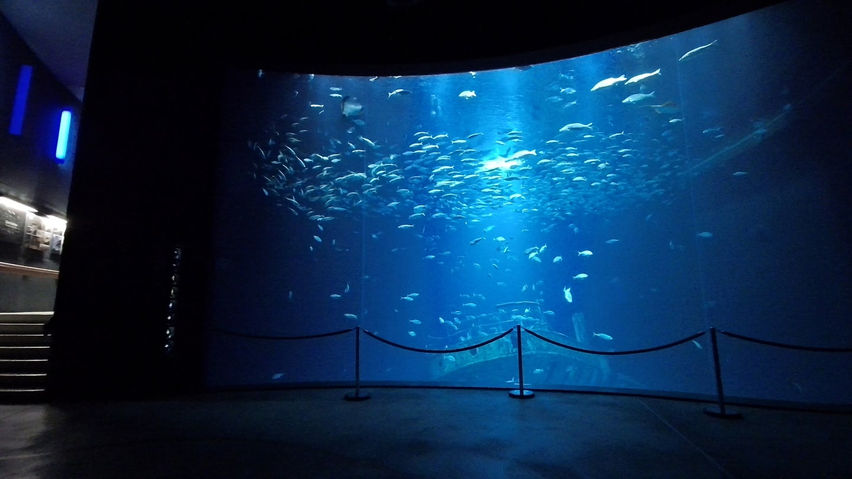 Aquariums on the Baltic Sea