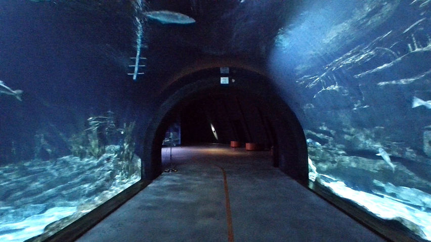 Aquariums on the Baltic Sea