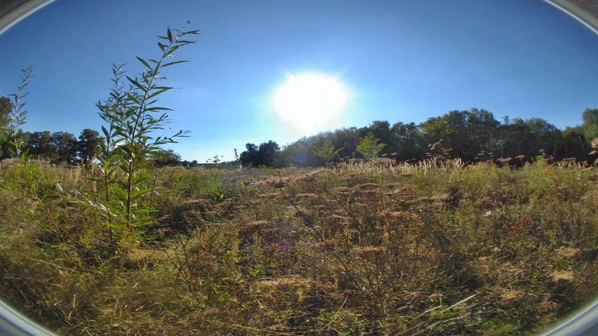 VR180 3D Mix