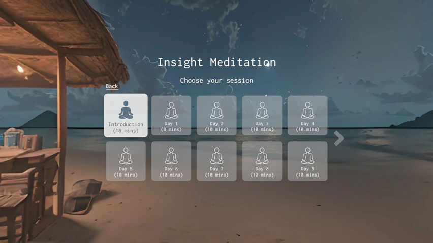 Insight Meditation
