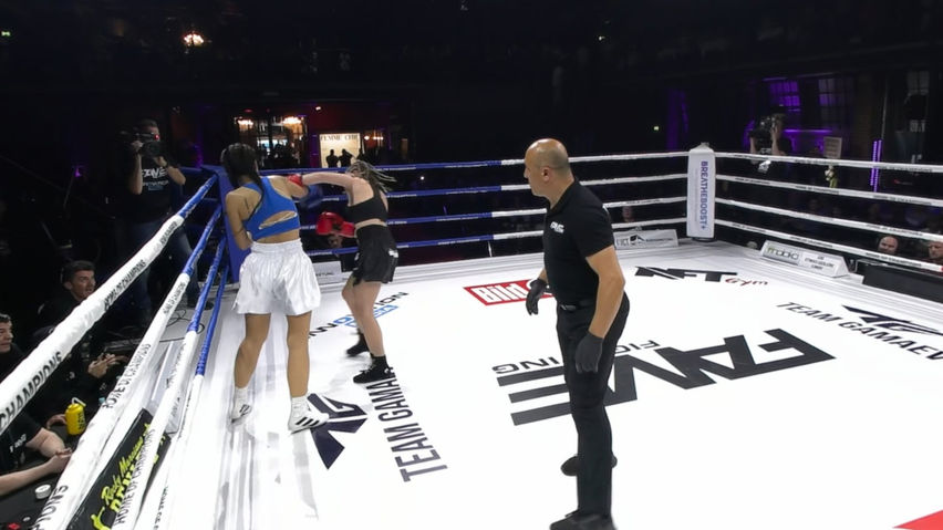 Fame Fighting 2024