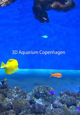 3D Aquarium Copenhagen
