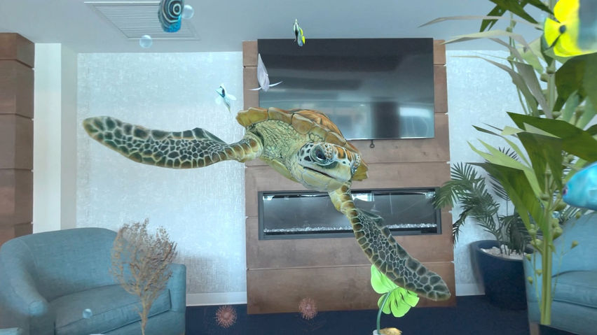 Aquarium Adventures