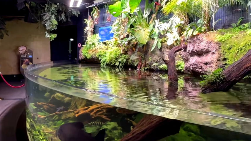 3D Aquarium Paris