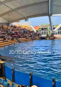 2D/3D Canary Islands