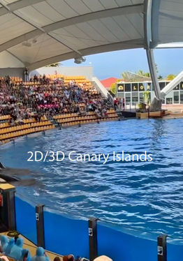 2D/3D Canary Islands
