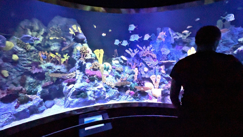 2D/3D Canary Islands