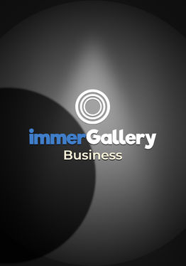 immerGallery Business