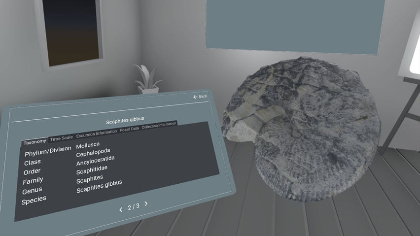 Artivact XR