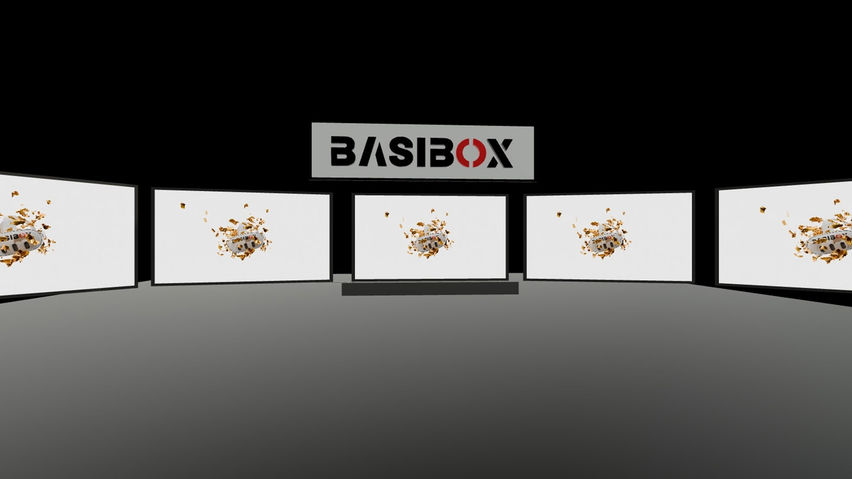 Basibox VR