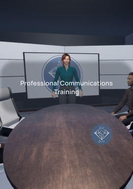 Professional Communication VR Training