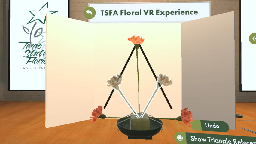 TSFA Floral VR Experience