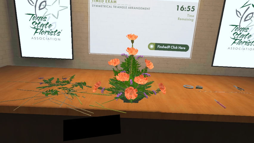 TSFA Floral VR Experience