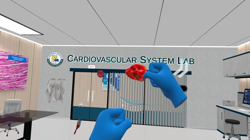 Anatomy Learning Labs: Cardio Lab