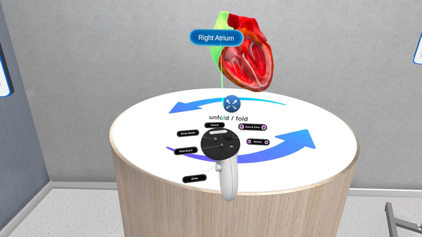 Anatomy Learning Labs: Cardio Lab
