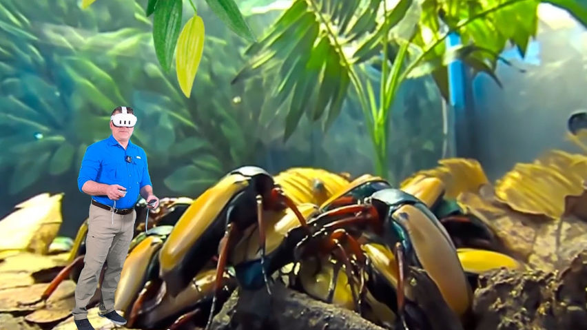 Tony's Creepy Crawly Zoo 2.0