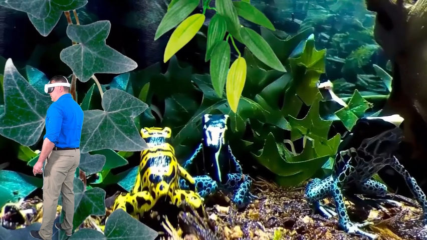 Tony's Creepy Crawly Zoo 2.0