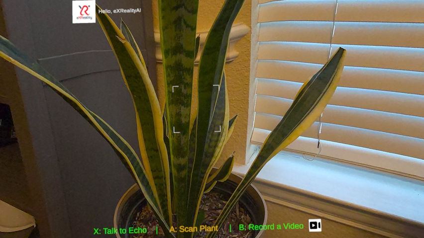 GardenXR