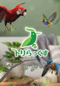 Relax With Bird