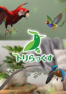 Relax With Bird