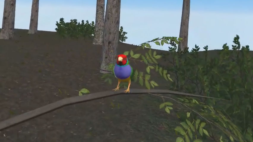 Relax With Bird