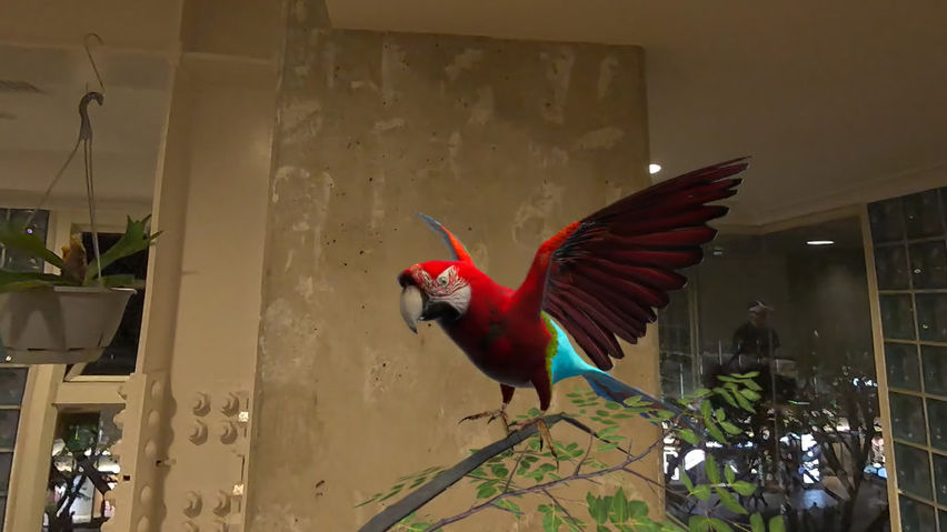 Relax With Bird