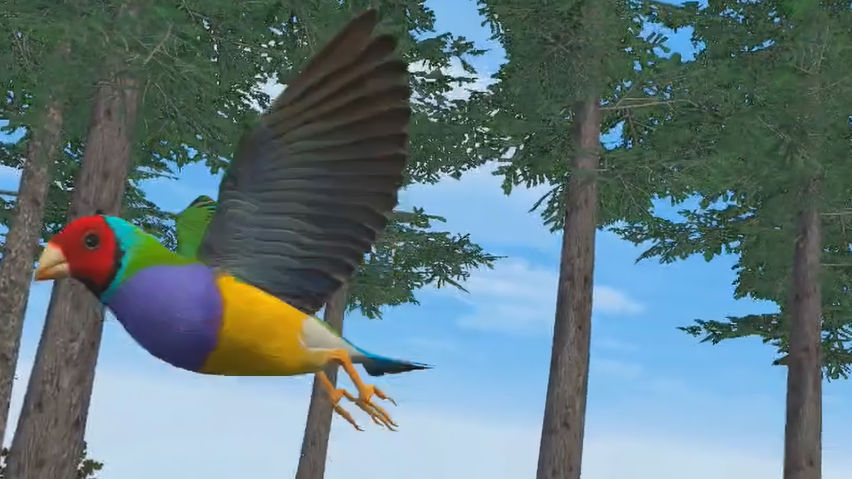 Relax With Bird