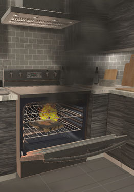 Kitchen Fire 360