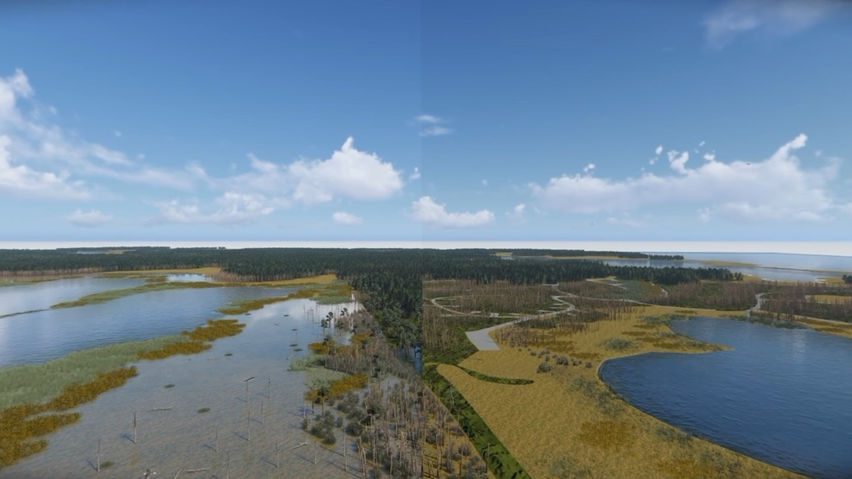 Sea Level Rise Explorer: Point Lookout