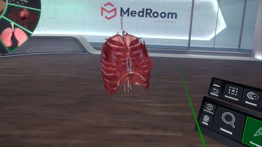MedRoom Anatomy