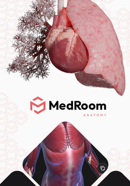 MedRoom Anatomy