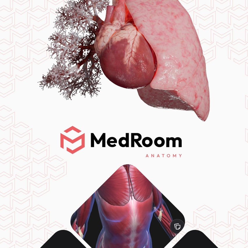 MedRoom Anatomy