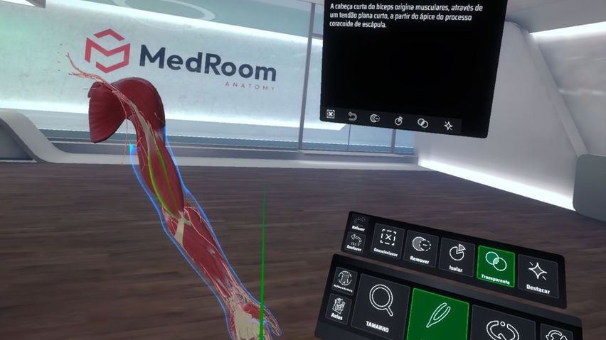 MedRoom Anatomy