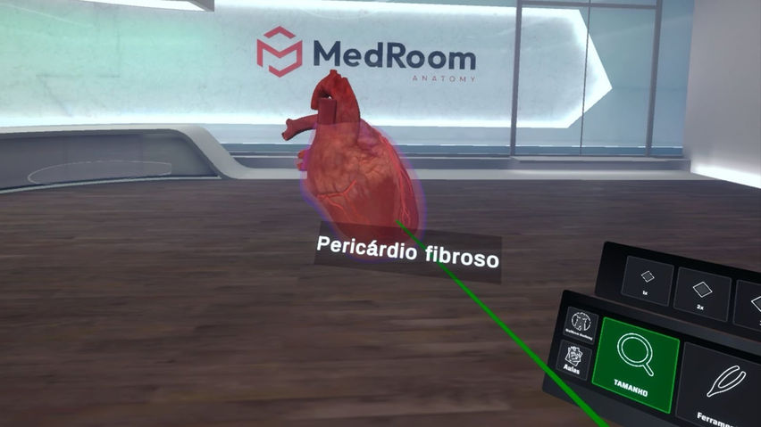 MedRoom Anatomy