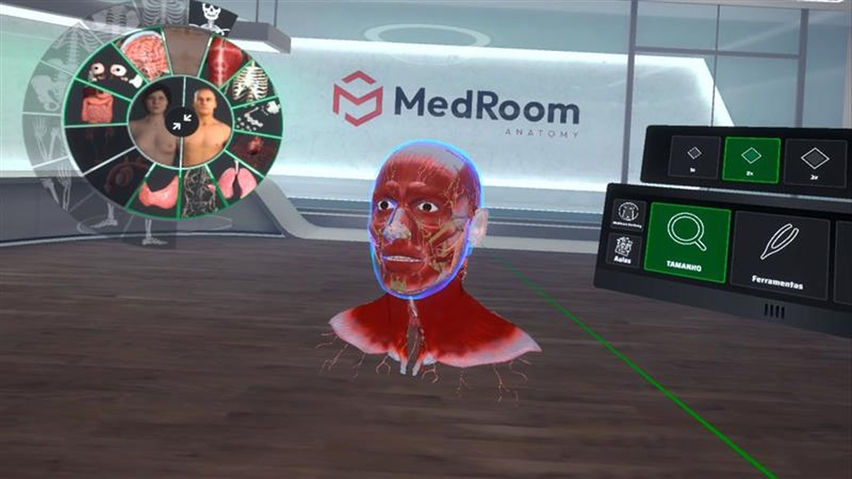 MedRoom Anatomy