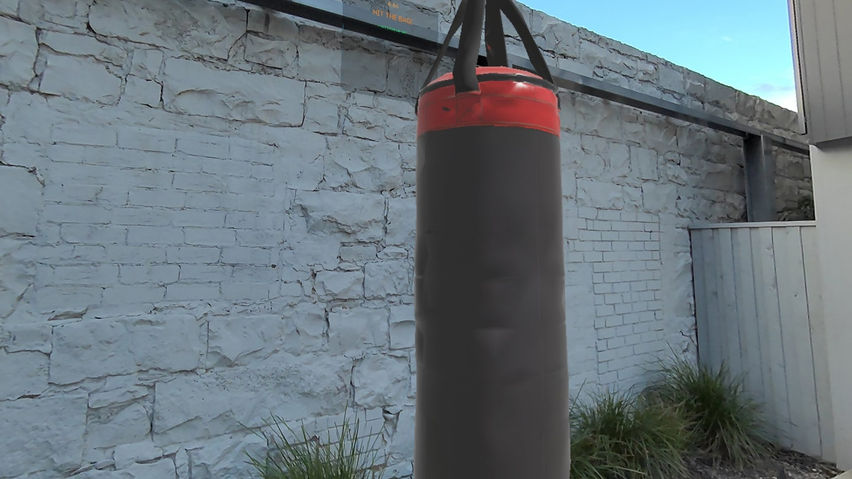 Boxing Drills VR