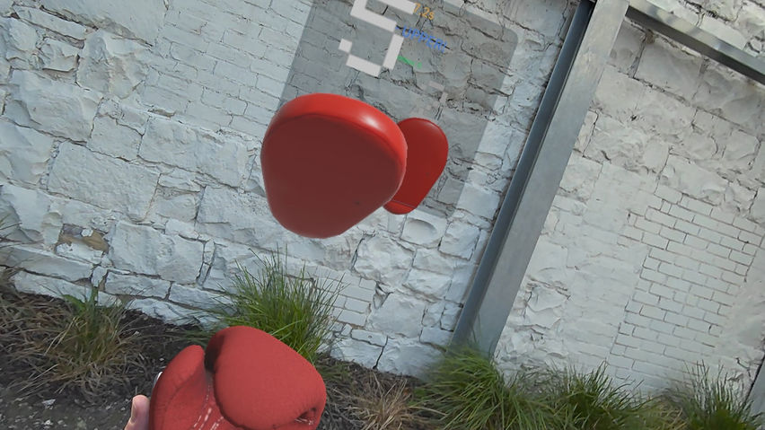 Boxing Drills VR