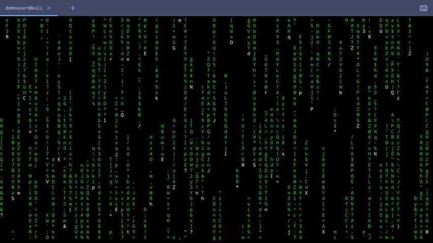 Highmark SSH