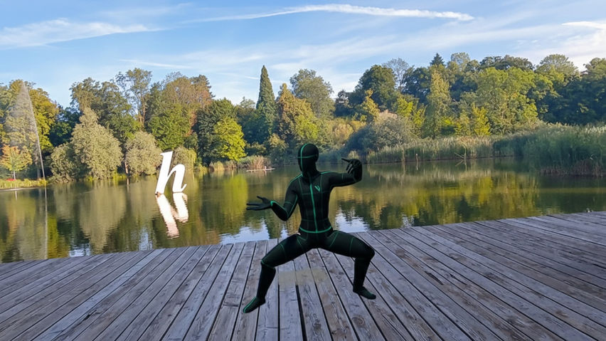 Chen Tai Chi XR